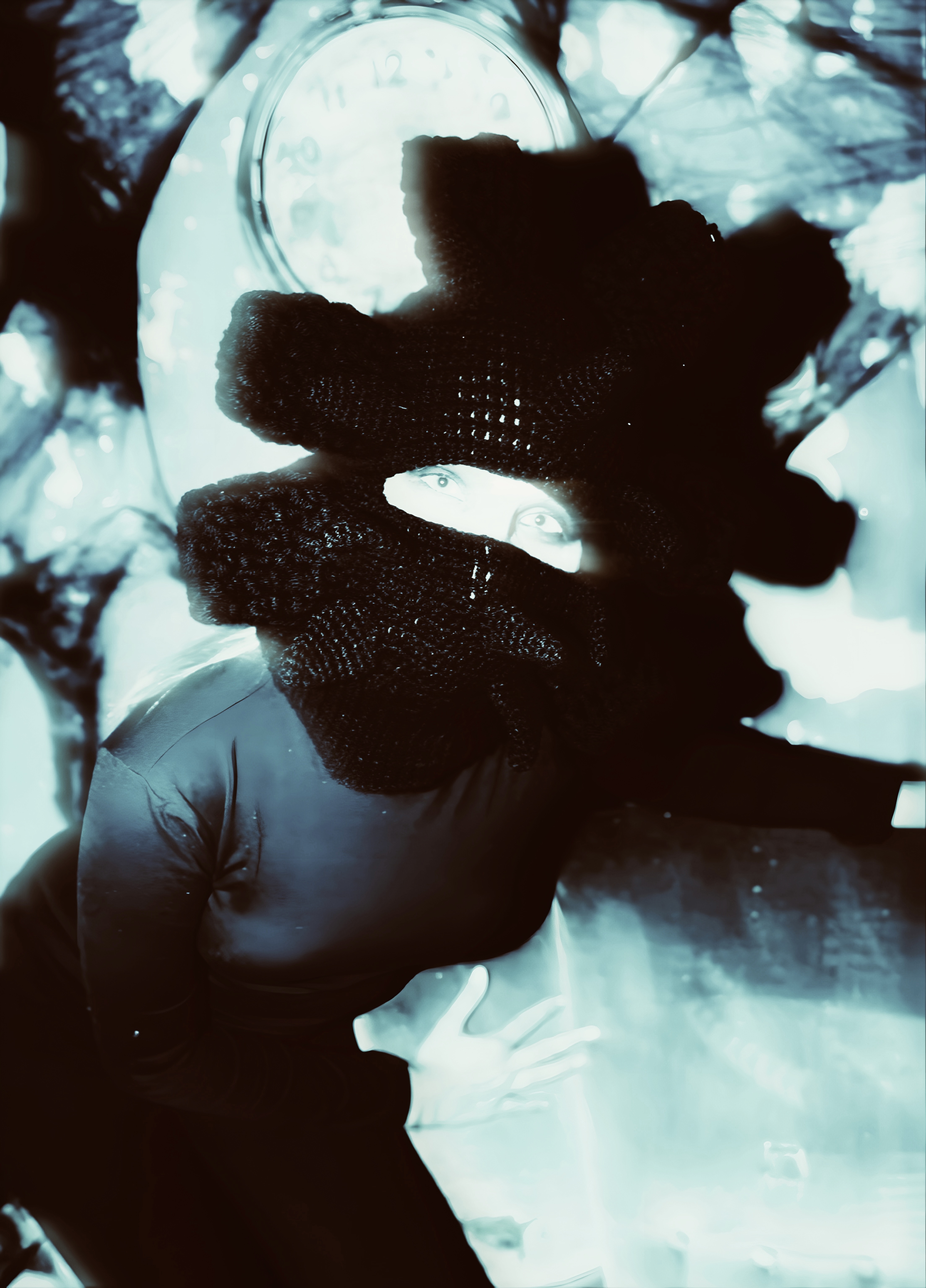 Crystal Cage · IMG.03