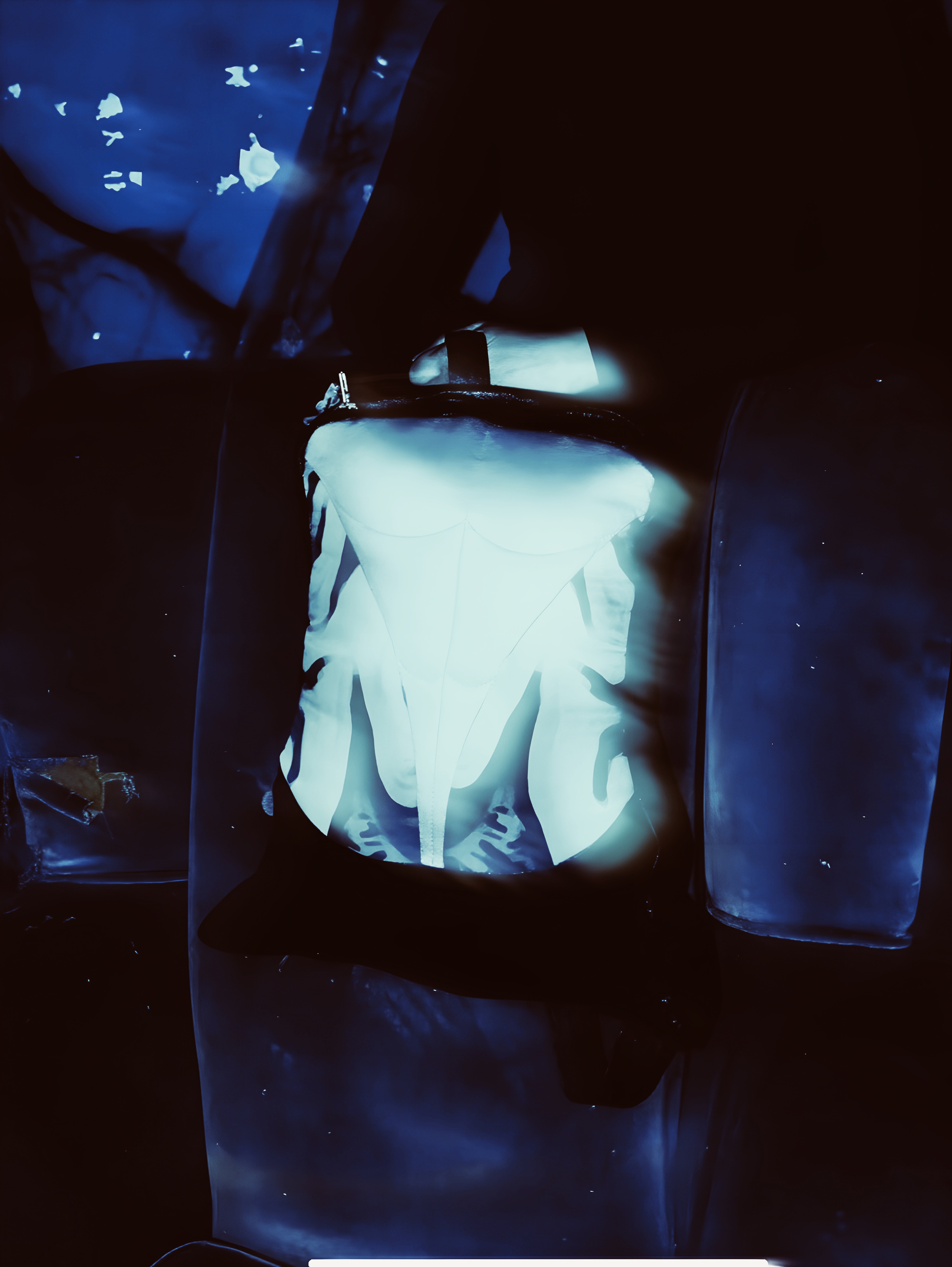 Crystal Cage · IMG.05